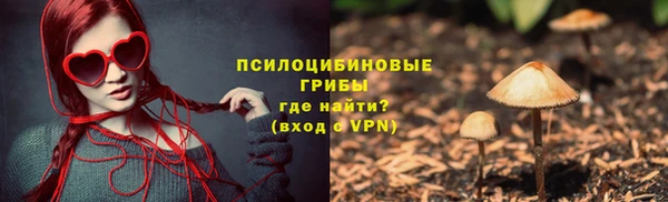 марки lsd Белокуриха