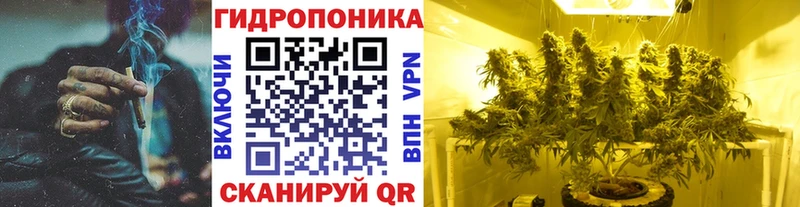 Каннабис Amnesia  наркота  Онега 