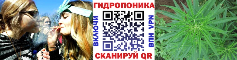 Бошки Шишки семена Онега